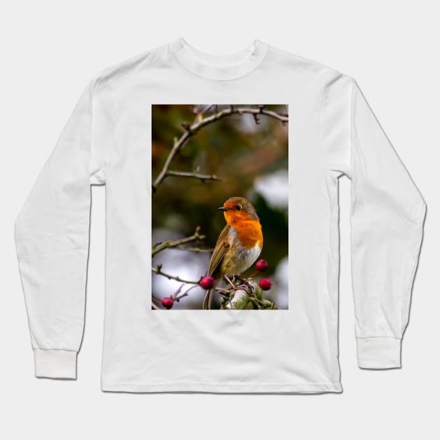 Robin red breast Long Sleeve T-Shirt by Violaman